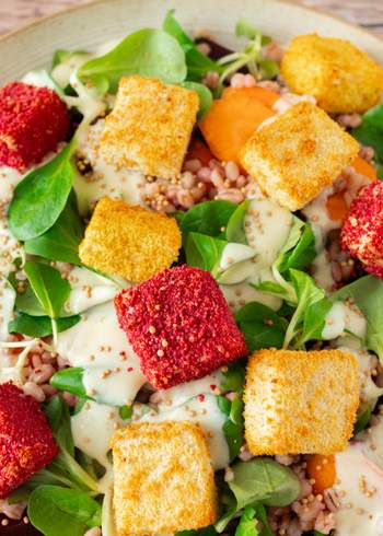 Panierter, knuspriger Tofu mit Gerstensalat