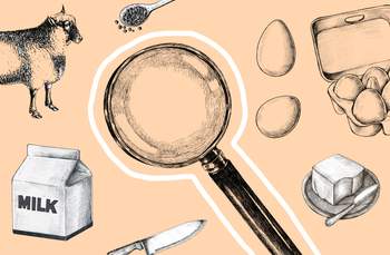 Non-Vegan Ingredients to Look Out For