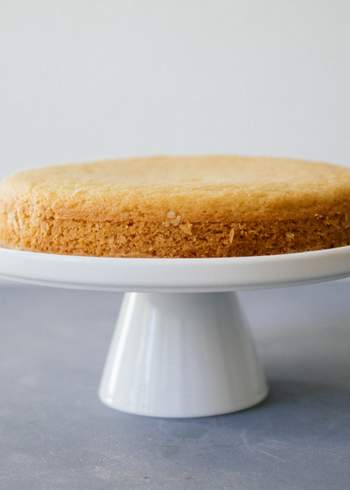 Veganer Biskuitteig: Wie er gelingt und welche Rezepte du damit backen kannst
